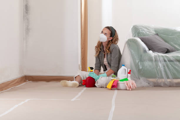 Reliable Mold Cleanup contractor in Marion, KY by WQB Mold Removal